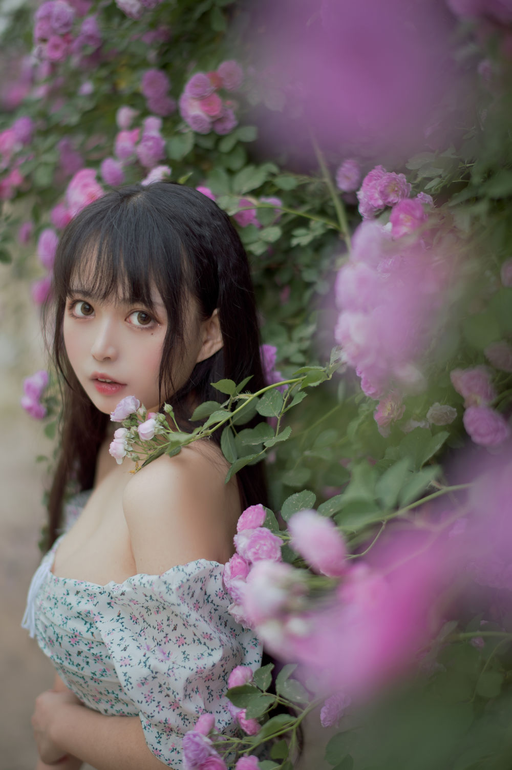 acgbuluo.com _003_.jpg