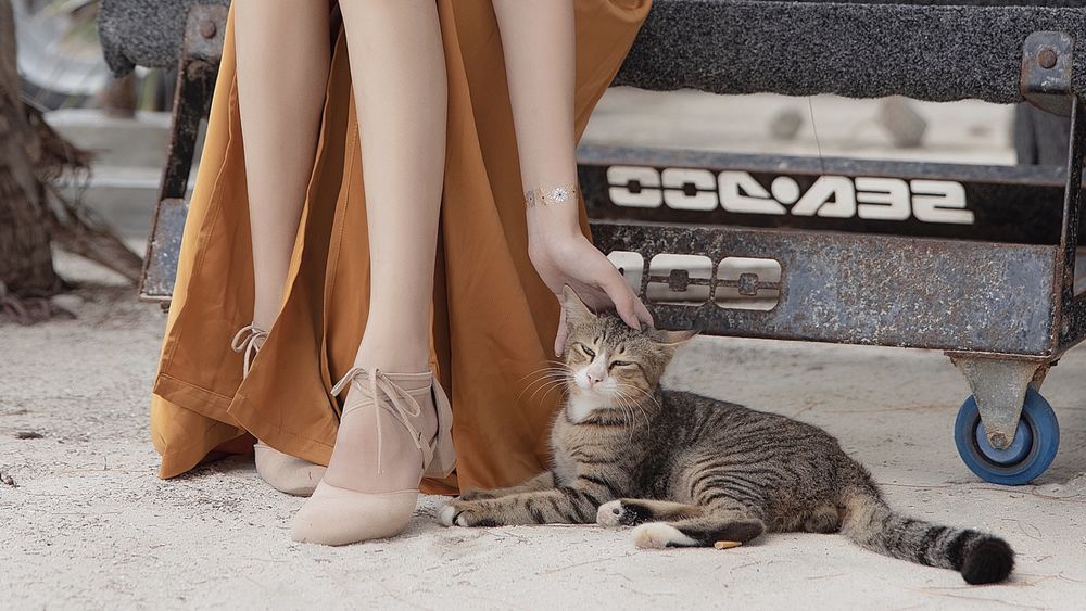 acgbuluo.com _002_.jpg