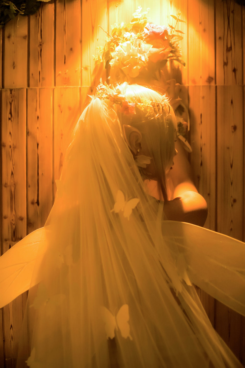 acgbuluo.com _001_.jpg