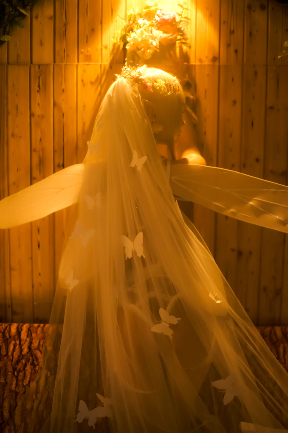 acgbuluo.com _002_.jpg