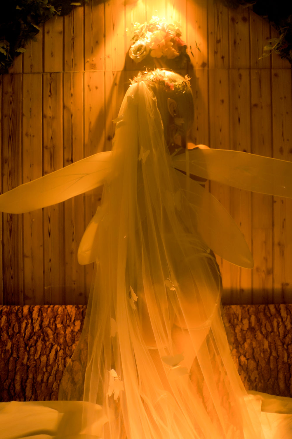 acgbuluo.com _003_.jpg