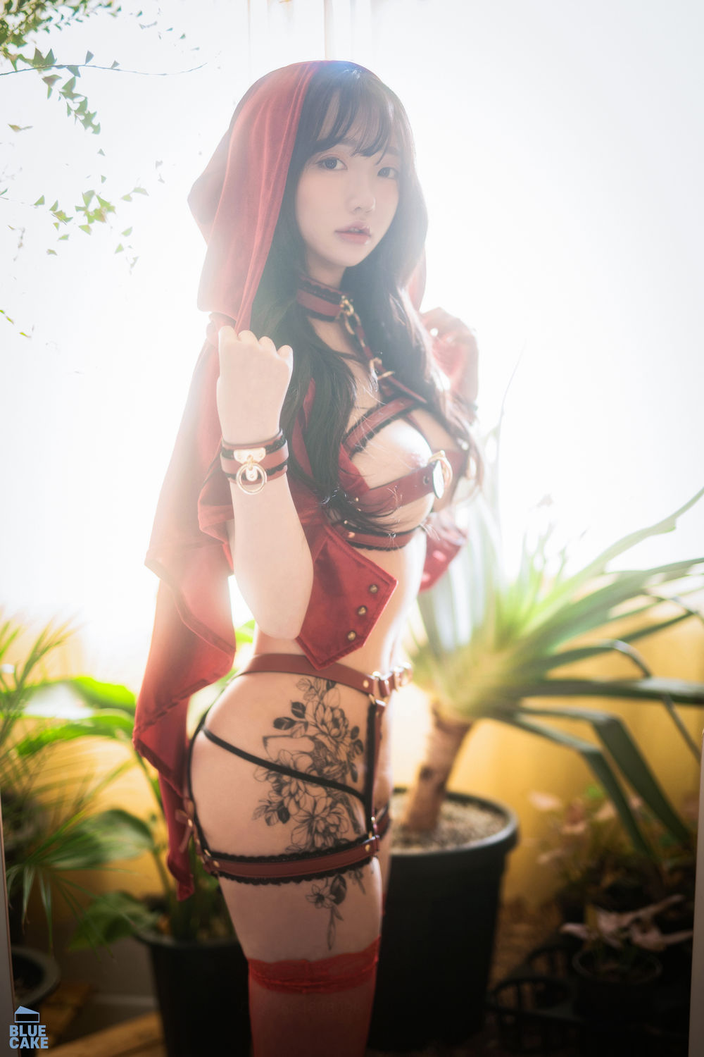 acgbuluo.com _001_.jpg