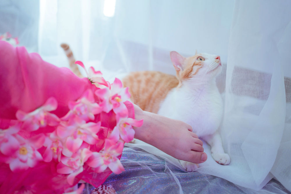 acgbuluo.com _003_.jpg