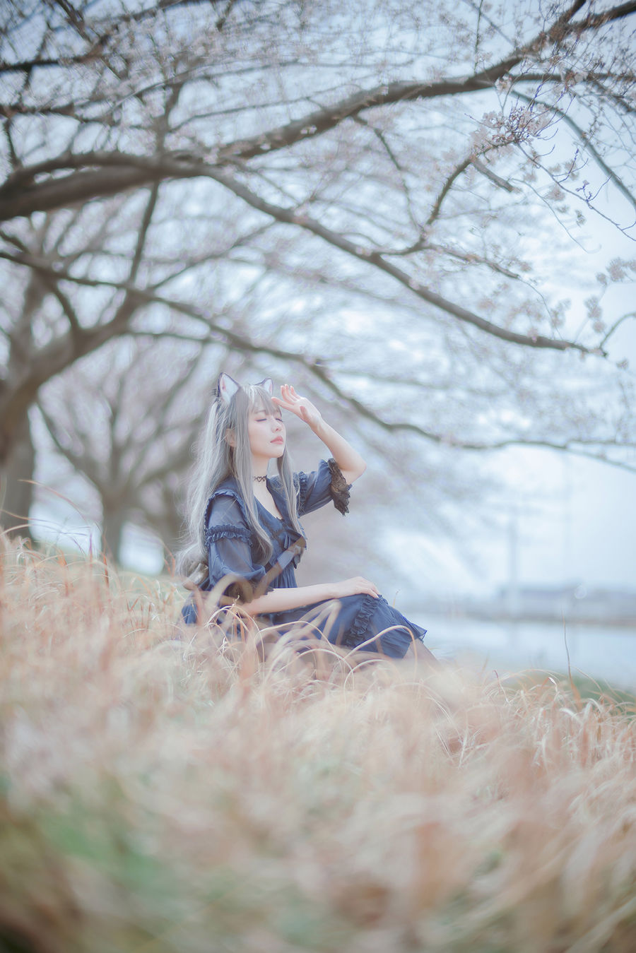 acgbuluo.com _003_.jpg