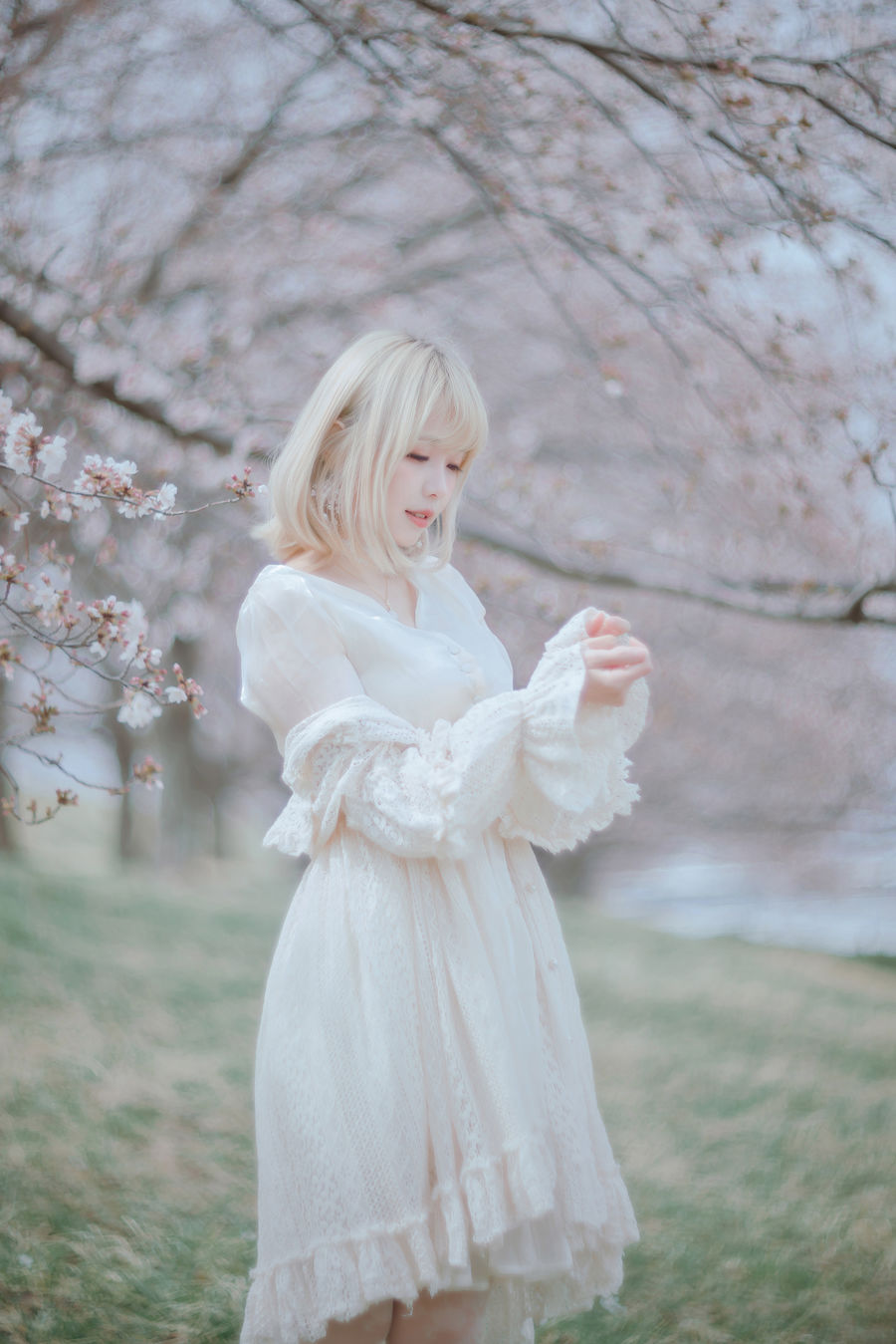 acgbuluo.com _003_.jpg