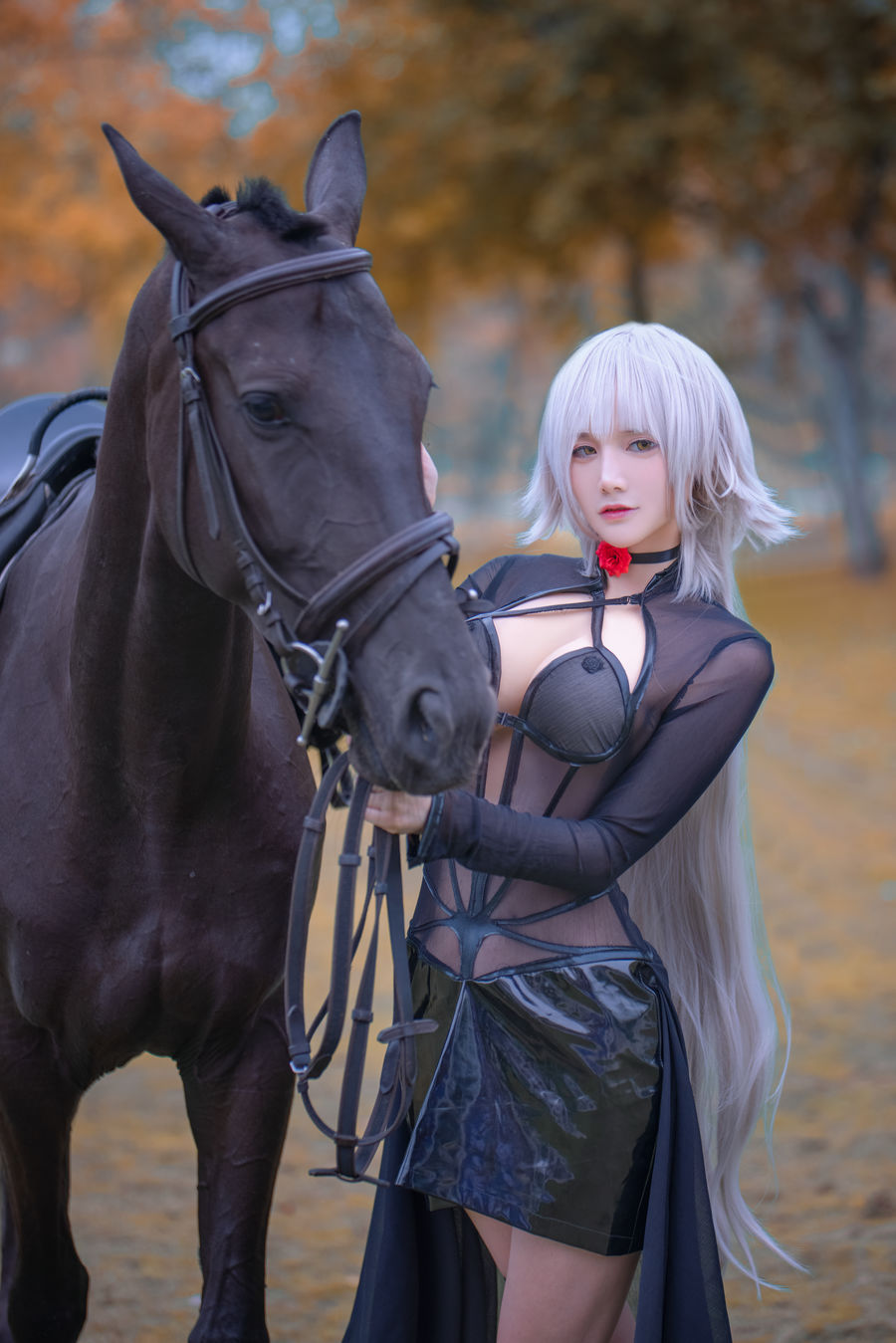 acgbuluo.com _002_.jpg