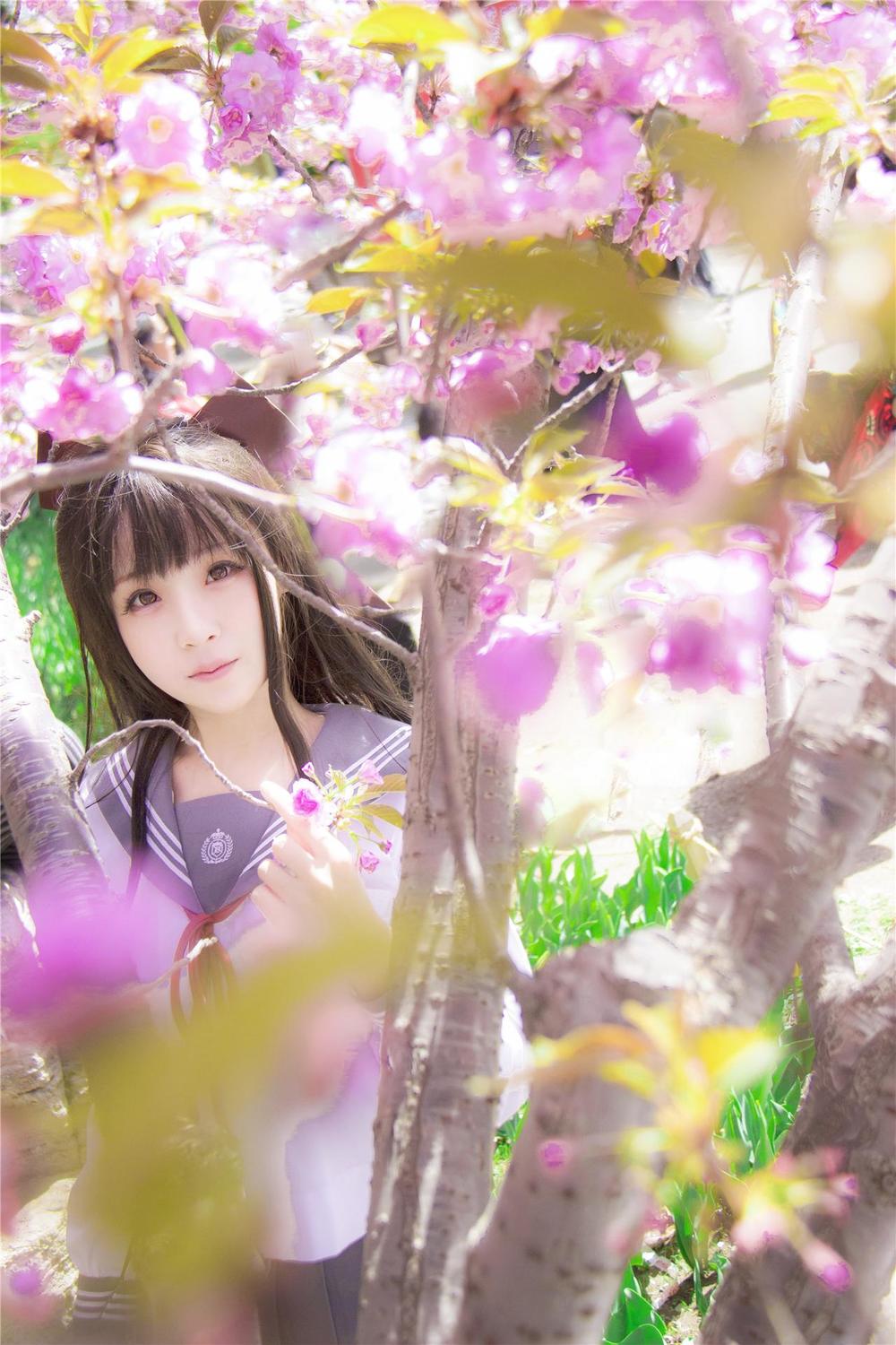 acgbuluo.com _001_.png