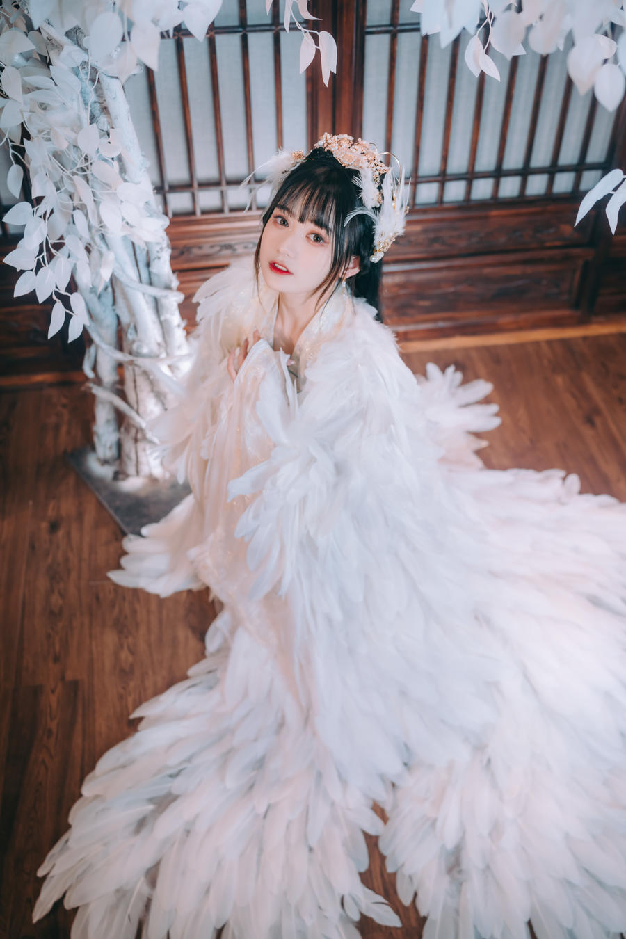 acgbuluo.com _002_.jpg