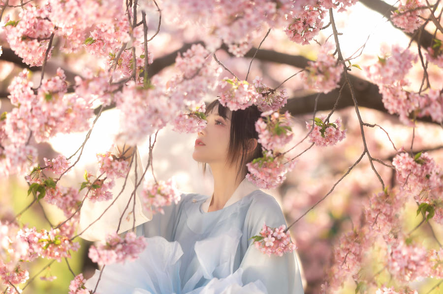 acgbuluo.com _003_.jpg