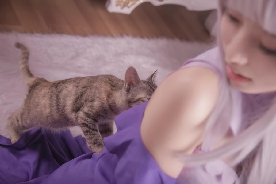 acgbuluo.com _002_.jpg