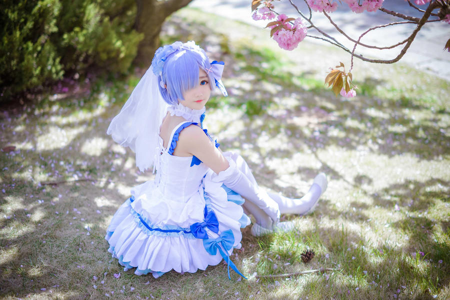 acgbuluo.com _002_.jpg