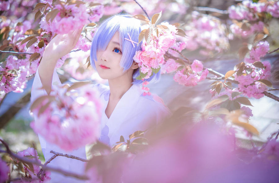 acgbuluo.com _001_.jpg