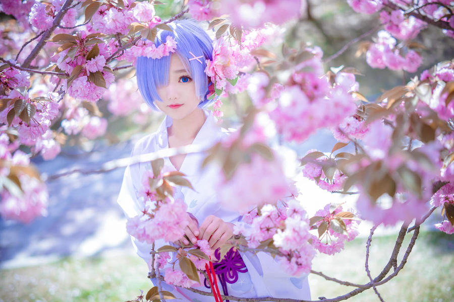 acgbuluo.com _003_.jpg