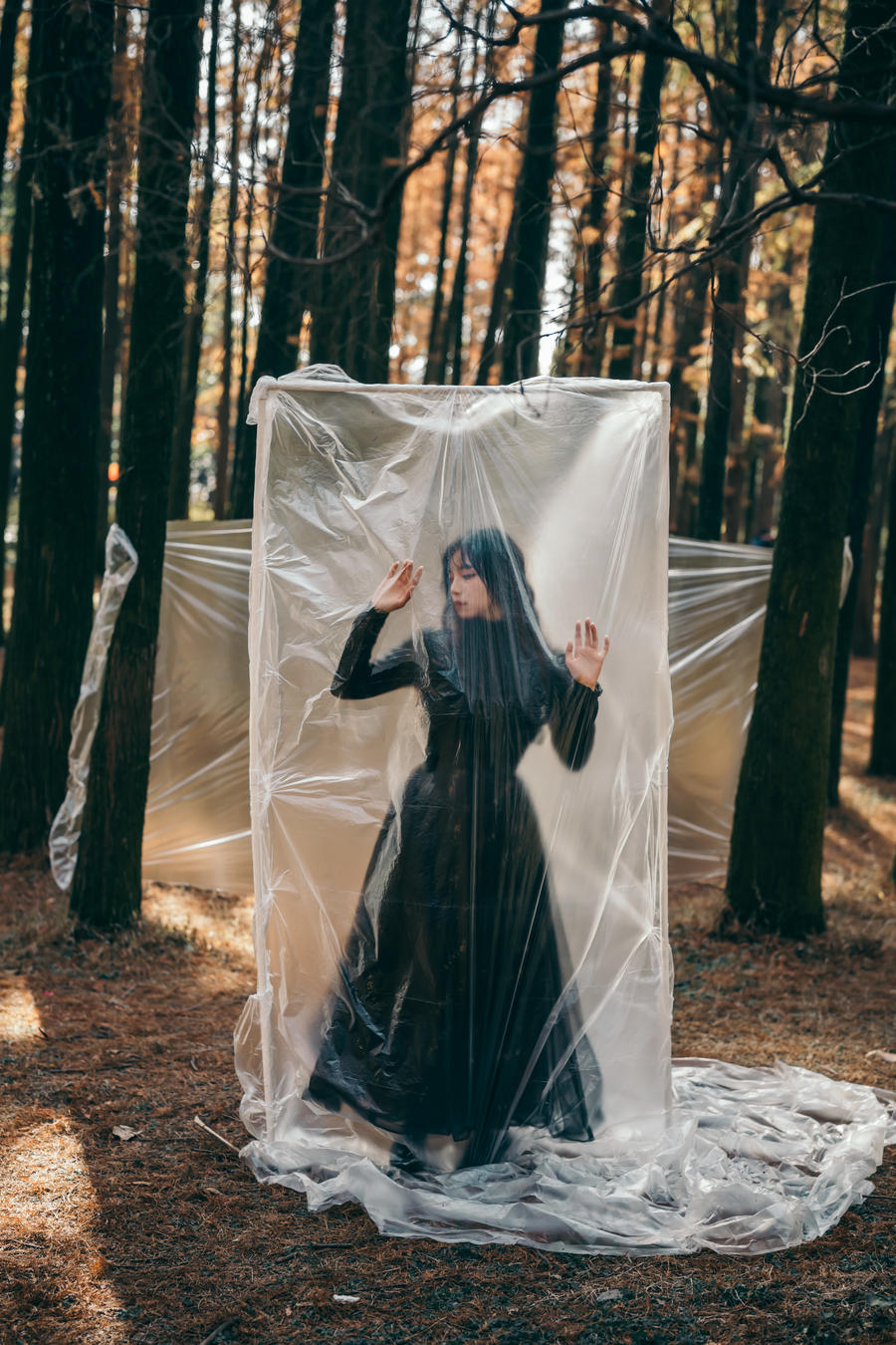 acgbuluo.com _001_.jpg